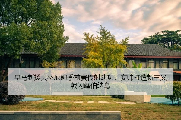 huang-ma-xin-yuan-bei-lin-e-mu-ji-qian-sai-chuan-she-jian-gong-an-shuai-da-zao-xin-san-cha-ji-shan-yao-bo-na-wu-1-926.jpg