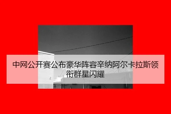 zhong-wang-gong-kai-sai-gong-bu-hao-hua-zhen-rong-xin-na-a-er-ka-la-si-ling-xian-qun-xing-shan-yao-1-826.jpg