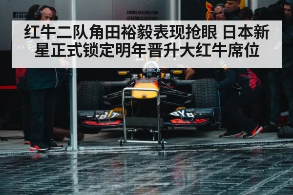 red bull formula 1 car